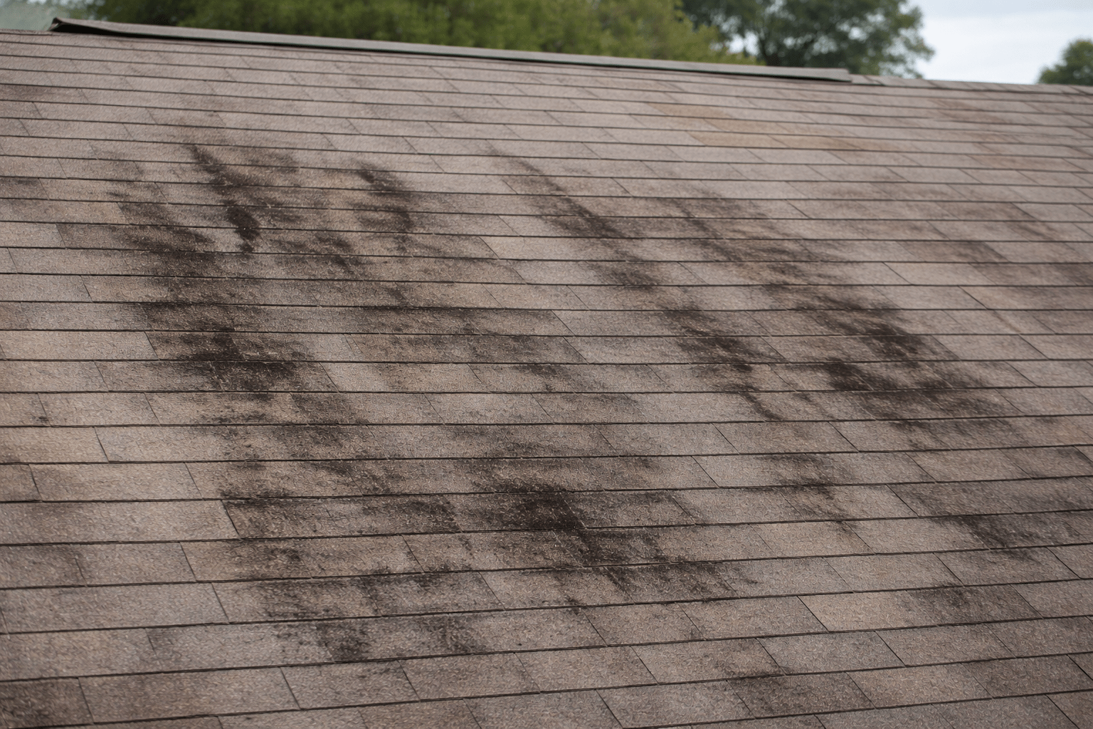 Aged roof tiles needing treatment